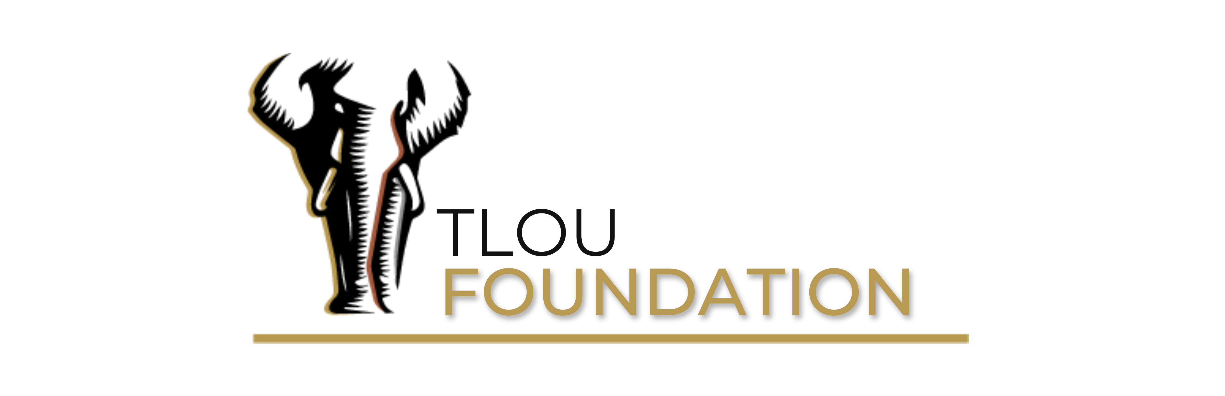 Tlou Foundation